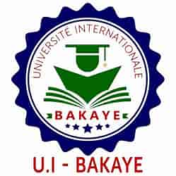 UI BAKAYE — partner